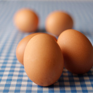 Huevos